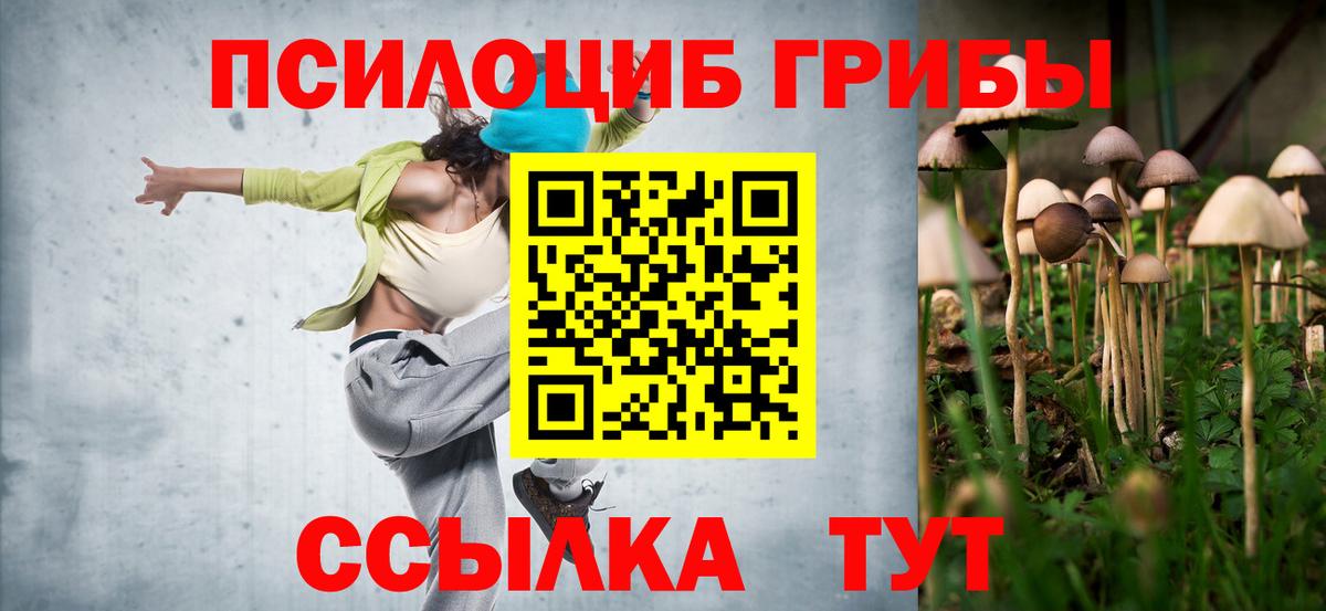 Галлюциногенные грибы Cubensis  Вход с VPN  Солнечногорск 